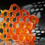 Anthropocene Honeycomb Natalie Tyler