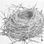 Its OK To Be A Realist Empty Nest